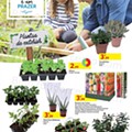 Antevisão Folheto AUCHAN Promoções de 3 a 16 março d14.jpg